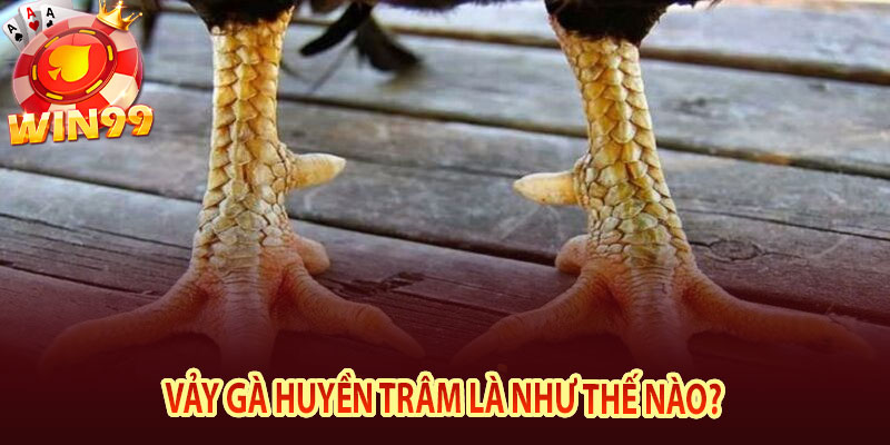 Vảy gà Huyền Trâm là như thế nào?