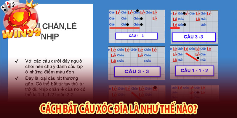 Cách bắt cầu xóc đĩa là như thế nào?